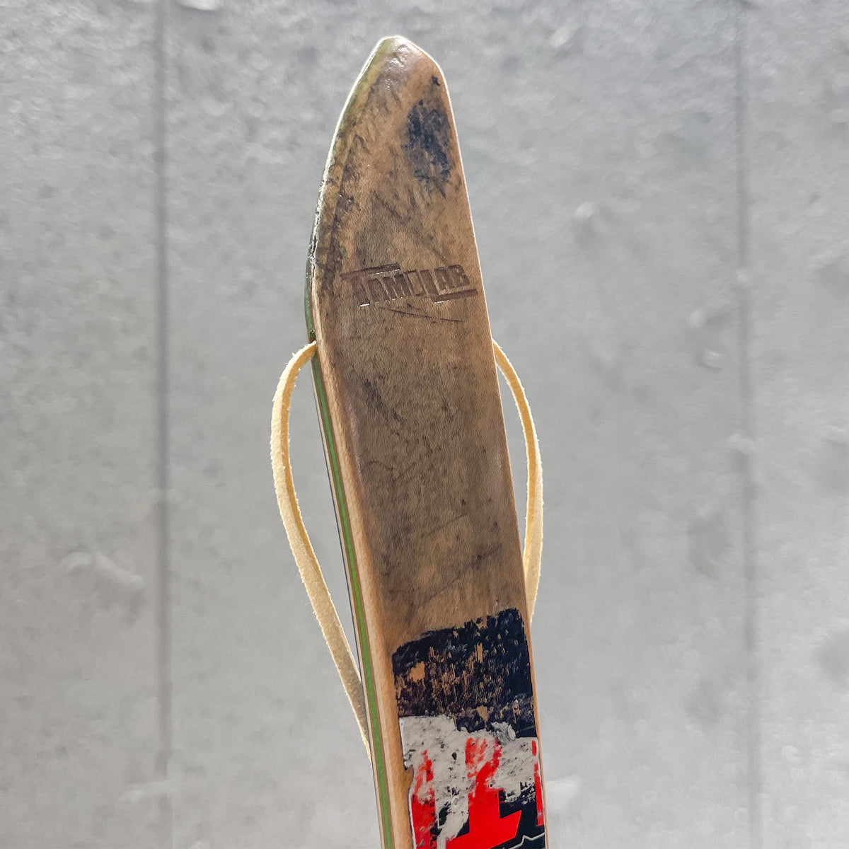 Shoehorn × Skateboard with Hinoki Stand - Multi Green